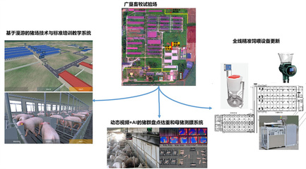 打造生豬全產業鏈數字化技術產品創新綜合體