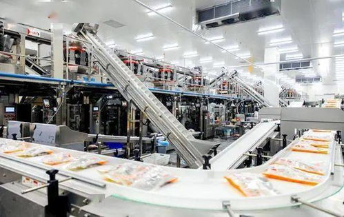 嚴(yán)防嚴(yán)控安全風(fēng)險 河北部署開展冷凍飲品 速凍食品生產(chǎn)企業(yè)專項整治行動